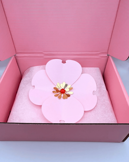 Jewelry Gift Box - B.Fancy
